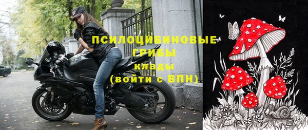 альфа пвп Няндома