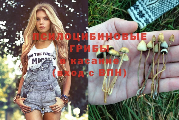 стаф Нягань