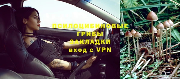 альфа пвп Няндома