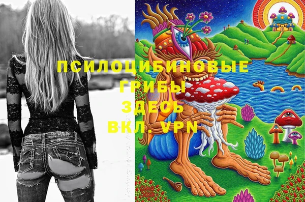мескалин Нязепетровск
