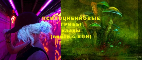 альфа пвп Няндома