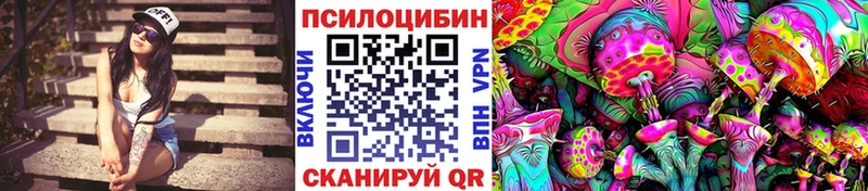 Псилоцибиновые грибы мицелий  ссылка на мегу зеркало  Торопец 